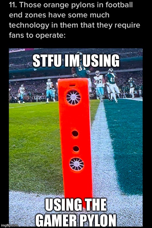 gamer pylon | STFU IM USING; USING THE GAMER PYLON | image tagged in e,gamer pylon | made w/ Imgflip meme maker