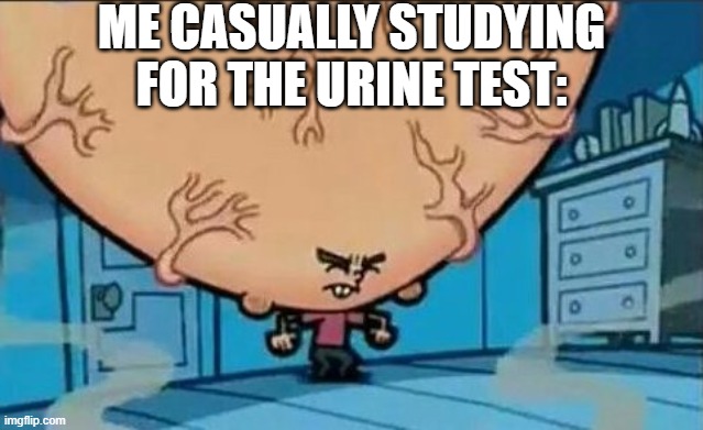 I need my urine grades | ME CASUALLY STUDYING FOR THE URINE TEST: | image tagged in big brain timmy,funny,funny memes,relatable,memes | made w/ Imgflip meme maker