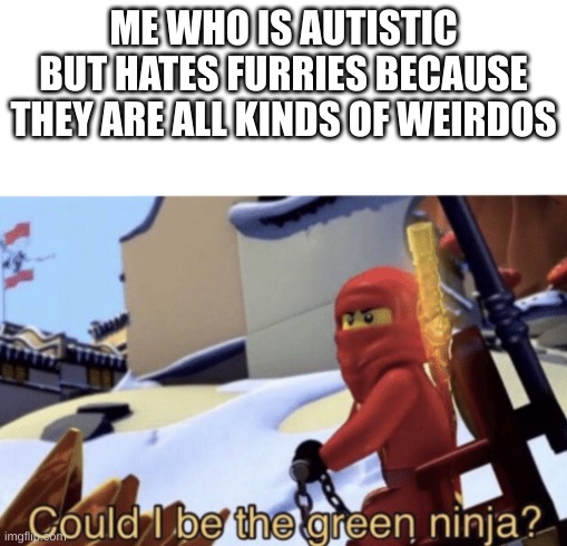 Could I Be The Green Ninja? | ME WHO IS AUTISTIC BUT HATES FURRIES BECAUSE THEY ARE ALL KINDS OF WEIRDOS | image tagged in could i be the green ninja | made w/ Imgflip meme maker