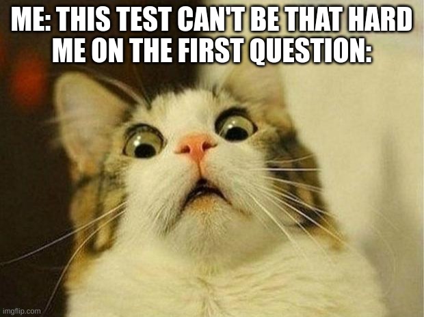 Test Is Difficult........ | ME: THIS TEST CAN'T BE THAT HARD



ME ON THE FIRST QUESTION: | image tagged in memes,scared cat | made w/ Imgflip meme maker