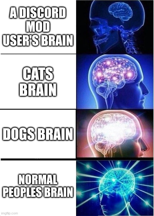 Expanding Brain | A DISCORD MOD USER'S BRAIN; CATS BRAIN; DOGS BRAIN; NORMAL PEOPLES BRAIN | image tagged in memes,expanding brain | made w/ Imgflip meme maker