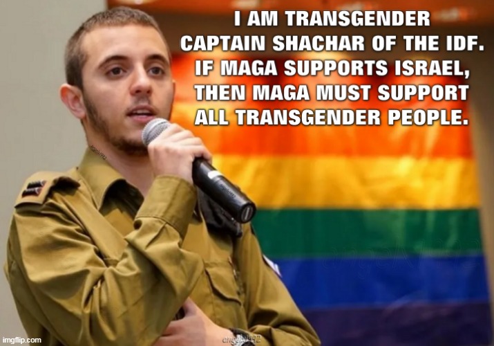 image tagged in israel,palestine,transgender,maga morons,clown car republicans,lgbtq | made w/ Imgflip meme maker