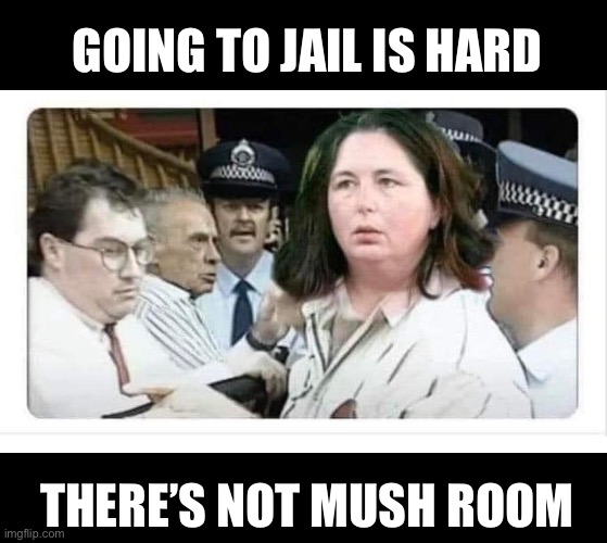 Mushroom poison ivy | GOING TO JAIL IS HARD; THERE’S NOT MUSH ROOM | image tagged in poison,poison ivy,murderer,jail | made w/ Imgflip meme maker
