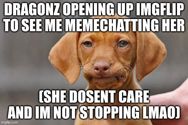 the joking i am doing right now has hit such a high level it breaks every meter | DRAGONZ OPENING UP IMGFLIP TO SEE ME MEMECHATTING HER; (SHE DOSENT CARE AND IM NOT STOPPING LMAO) | image tagged in dissapointed puppy | made w/ Imgflip meme maker