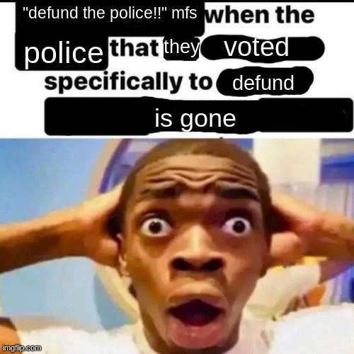 WHERE'S THE POLICE!! | "defund the police!!" mfs; they; voted; police; defund; is gone | image tagged in x when the y that he designed specifically to z | made w/ Imgflip meme maker