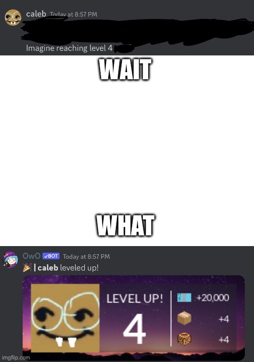 what | WAIT; WHAT | image tagged in what | made w/ Imgflip meme maker