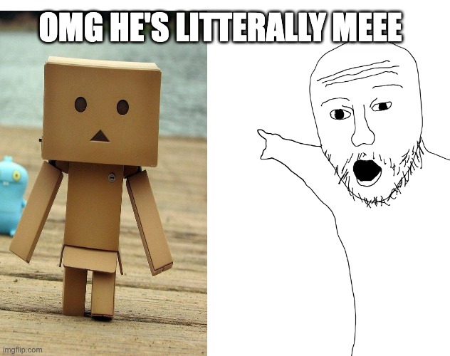 Danbo is litterally me | OMG HE'S LITTERALLY MEEE | image tagged in two soyjaks pointing | made w/ Imgflip meme maker
