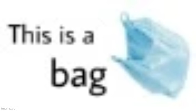 This is a bag | made w/ Imgflip meme maker