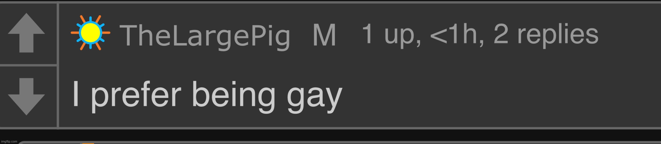 thelargepig gay confirmed | image tagged in thelargepig gay confirmed | made w/ Imgflip meme maker