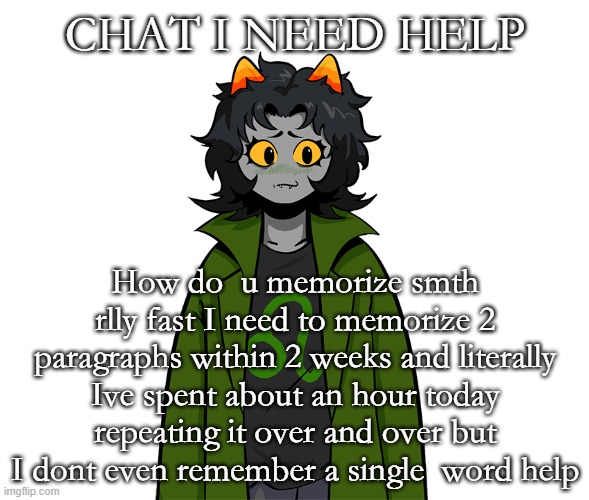 Last 2 paragraphs of the FFA creed if u need to know | CHAT I NEED HELP; How do  u memorize smth rlly fast I need to memorize 2 paragraphs within 2 weeks and literally Ive spent about an hour today repeating it over and over but I dont even remember a single  word help | image tagged in nepeta um | made w/ Imgflip meme maker