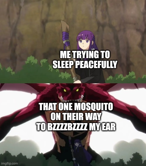 I fricking hate it! | ME TRYING TO SLEEP PEACEFULLY; THAT ONE MOSQUITO ON THEIR WAY TO BZZZZBZZZZ MY EAR | image tagged in sleep,mosquito,true,memes | made w/ Imgflip meme maker
