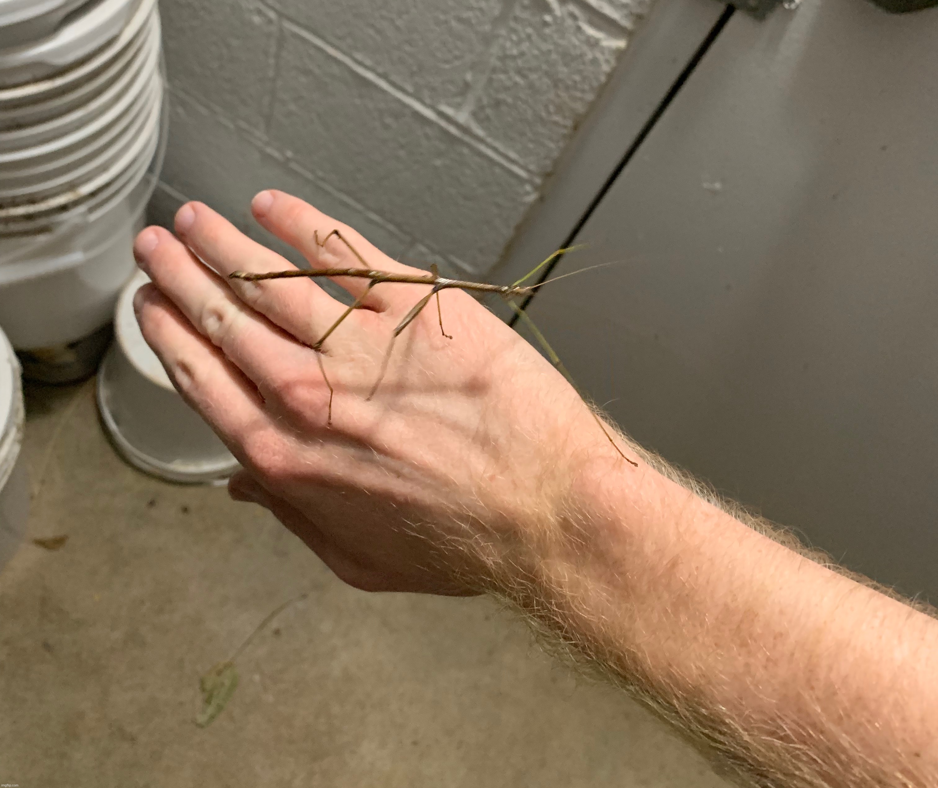 Stick Man | made w/ Imgflip meme maker