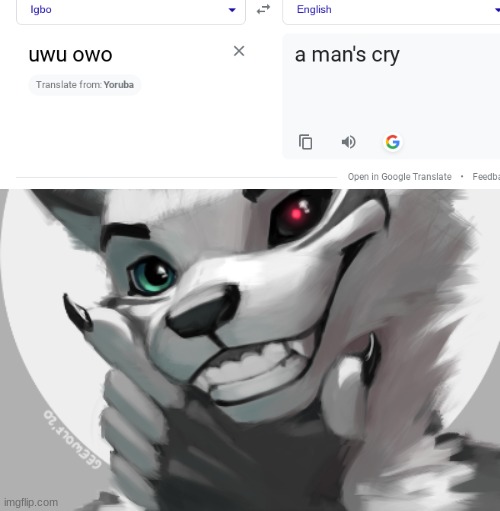 mischievous furry | image tagged in not my fursona | made w/ Imgflip meme maker