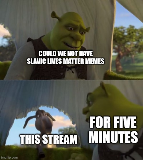 All lives matter | COULD WE NOT HAVE SLAVIC LIVES MATTER MEMES; FOR FIVE MINUTES; THIS STREAM | image tagged in could you not ___ for 5 minutes | made w/ Imgflip meme maker