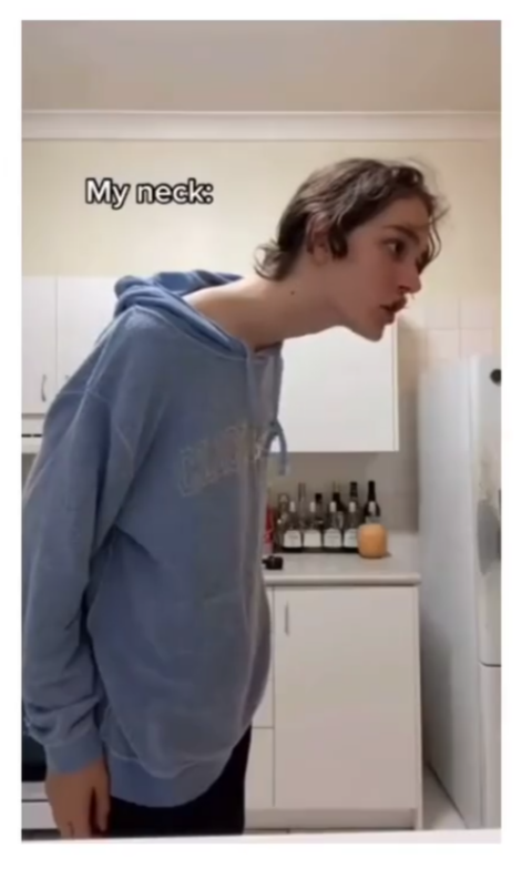 High Quality Long neck Blank Meme Template