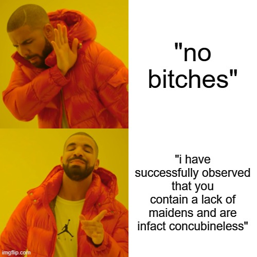 have some class you filthy shit | "no bitches"; "i have successfully observed that you contain a lack of maidens and are infact concubineless" | image tagged in memes,drake hotline bling | made w/ Imgflip meme maker