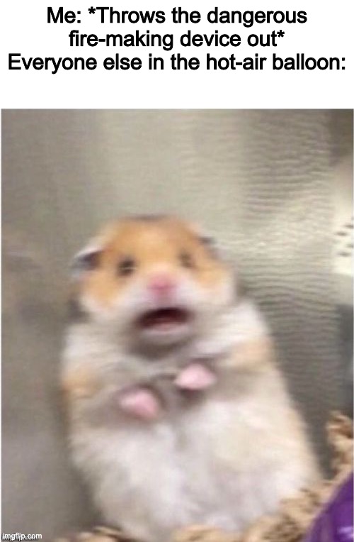 "Houston, I am the problem." | Me: *Throws the dangerous fire-making device out*
Everyone else in the hot-air balloon: | image tagged in scared hamster,hampy,meat | made w/ Imgflip meme maker