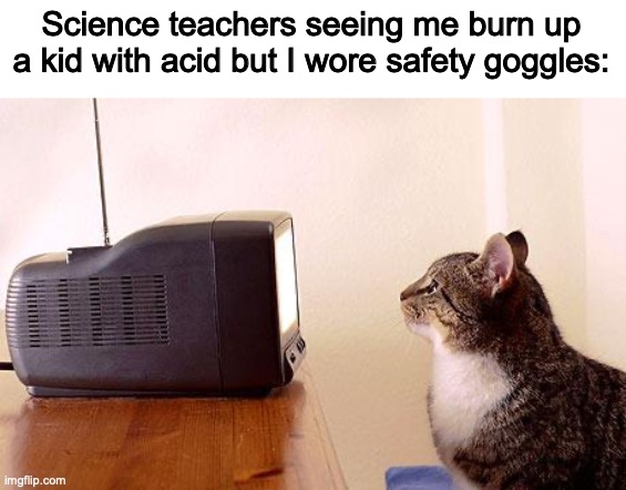 Relat- whartt? | Science teachers seeing me burn up a kid with acid but I wore safety goggles: | image tagged in cat watching tv | made w/ Imgflip meme maker