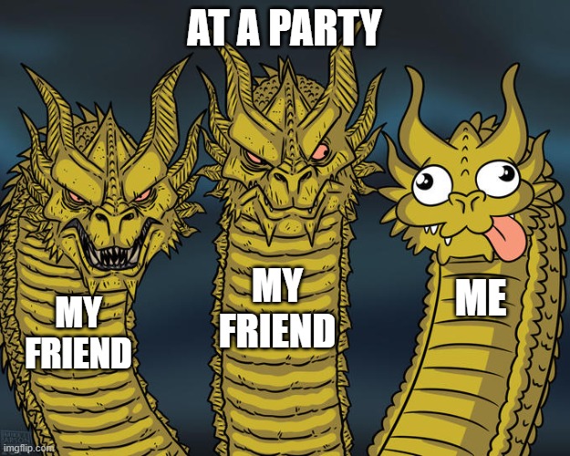 me at the party | AT A PARTY; MY FRIEND; ME; MY FRIEND | image tagged in three-headed dragon,memes,meme | made w/ Imgflip meme maker