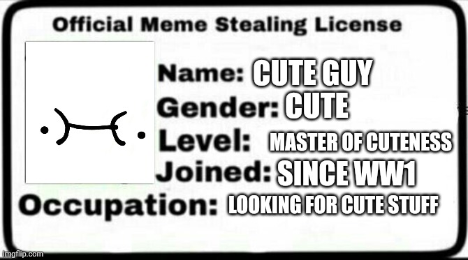 Cute guy license | CUTE GUY; CUTE; MASTER OF CUTENESS; SINCE WW1; LOOKING FOR CUTE STUFF | image tagged in meme stealing license | made w/ Imgflip meme maker