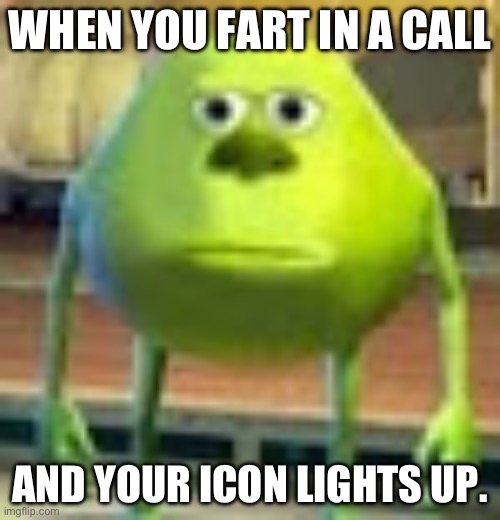 So Embarrassing… | WHEN YOU FART IN A CALL; AND YOUR ICON LIGHTS UP. | image tagged in sully wazowski | made w/ Imgflip meme maker