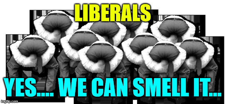 head up ass | LIBERALS; YES.... WE CAN SMELL IT... | image tagged in head up ass | made w/ Imgflip meme maker