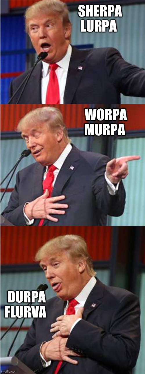 Bad Pun Trump | SHERPA LURPA WORPA MURPA DURPA FLURVA | image tagged in bad pun trump | made w/ Imgflip meme maker