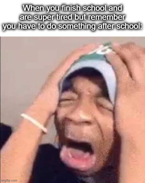 i just want... a nap | When you finish school and are super tired but remember you have to do something after school: | image tagged in flightreacts crying,cry,nooooooooo,tired,school,lol | made w/ Imgflip meme maker