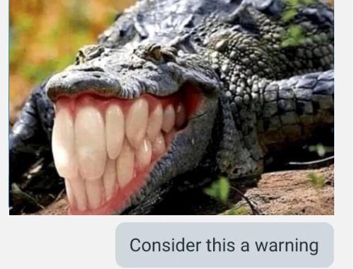 High Quality consider cursed gator a warning Blank Meme Template