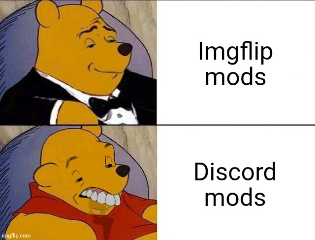 Discord you gotta start seeing if your mods handle the responsibility | Imgflip mods; Discord mods | image tagged in tuxedo winnie the pooh grossed reverse,imgflip mods,discord moderator | made w/ Imgflip meme maker