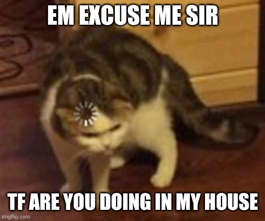 Loading cat | EM EXCUSE ME SIR TF ARE YOU DOING IN MY HOUSE | image tagged in loading cat | made w/ Imgflip meme maker