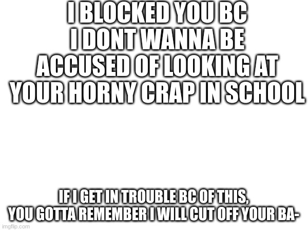 I BLOCKED YOU BC I DONT WANNA BE ACCUSED OF LOOKING AT YOUR HORNY CRAP IN SCHOOL IF I GET IN TROUBLE BC OF THIS, YOU GOTTA REMEMBER I WILL C | made w/ Imgflip meme maker