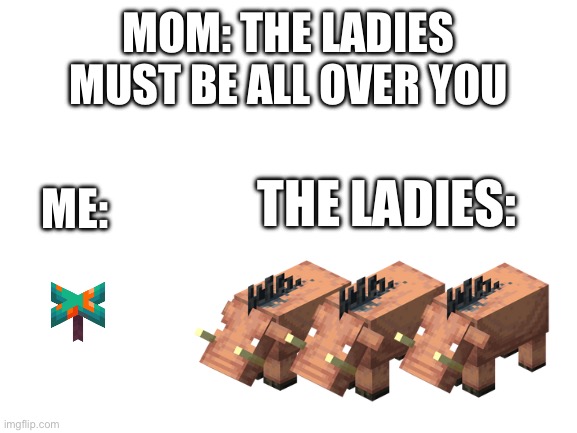 Despair | MOM: THE LADIES MUST BE ALL OVER YOU; ME:; THE LADIES: | image tagged in blank white template | made w/ Imgflip meme maker