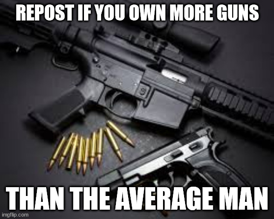 GUN | REPOST IF YOU OWN MORE GUNS; THAN THE AVERAGE MAN | image tagged in memes | made w/ Imgflip meme maker