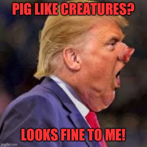 Trump Pig Nose looking for dirt | PIG LIKE CREATURES? LOOKS FINE TO ME! | image tagged in trump pig nose looking for dirt | made w/ Imgflip meme maker