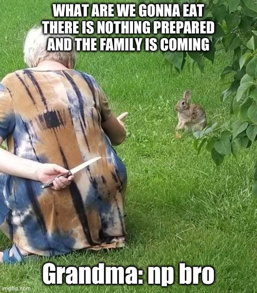 Grandma Hiding Knife From Rabbit | WHAT ARE WE GONNA EAT THERE IS NOTHING PREPARED AND THE FAMILY IS COMING; Grandma: np bro | image tagged in grandma hiding knife from rabbit,np bro,grandma | made w/ Imgflip meme maker