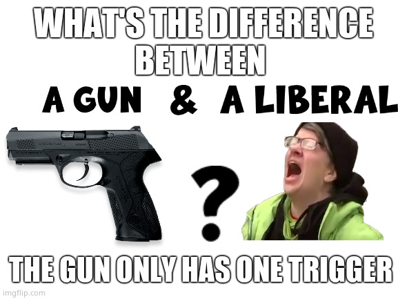 What's the difference ? | WHAT'S THE DIFFERENCE
BETWEEN; THE GUN ONLY HAS ONE TRIGGER | image tagged in memes,liberals,guns,triggered,democrats,political meme | made w/ Imgflip meme maker