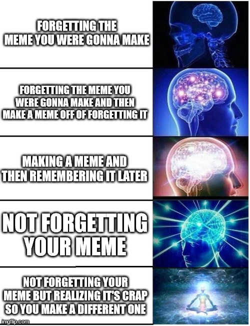 Expanding Brain 5 Panel | FORGETTING THE MEME YOU WERE GONNA MAKE; FORGETTING THE MEME YOU WERE GONNA MAKE AND THEN MAKE A MEME OFF OF FORGETTING IT; MAKING A MEME AND THEN REMEMBERING IT LATER; NOT FORGETTING YOUR MEME; NOT FORGETTING YOUR MEME BUT REALIZING IT'S CRAP SO YOU MAKE A DIFFERENT ONE | image tagged in expanding brain 5 panel | made w/ Imgflip meme maker