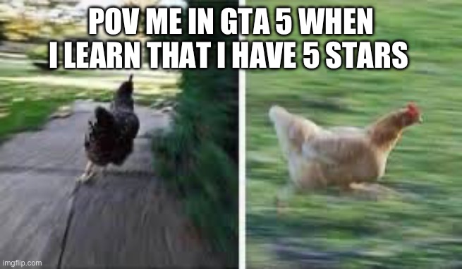 Give this chicken some help | POV ME IN GTA 5 WHEN I LEARN THAT I HAVE 5 STARS | image tagged in running chicken,fun,animals | made w/ Imgflip meme maker