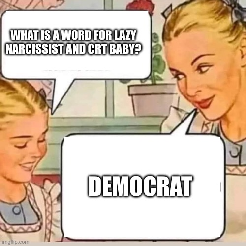Democrats are here to | WHAT IS A WORD FOR LAZY NARCISSIST AND CRT BABY? DEMOCRAT | image tagged in mom knows,funny memes,memes,funny | made w/ Imgflip meme maker