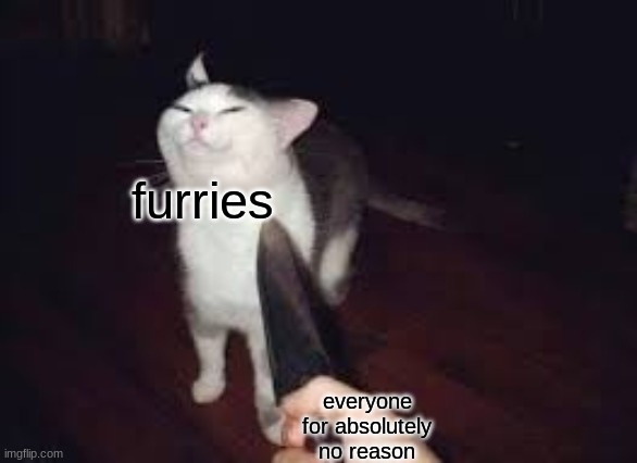 Real | furries; everyone for absolutely no reason | image tagged in cat knife | made w/ Imgflip meme maker