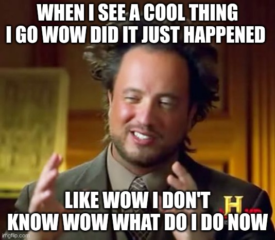 Ancient Aliens | WHEN I SEE A COOL THING I GO WOW DID IT JUST HAPPENED; LIKE WOW I DON'T KNOW WOW WHAT DO I DO NOW | image tagged in memes,ancient aliens | made w/ Imgflip meme maker