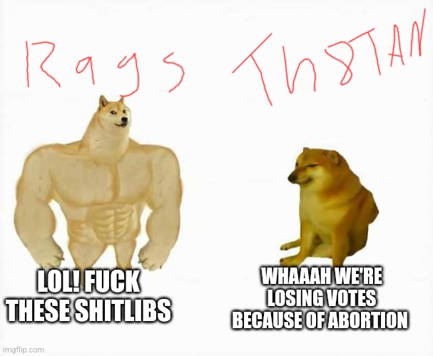 Strong dog vs weak dog | LOL! FUCK THESE SHITLIBS; WHAAAH WE'RE LOSING VOTES BECAUSE OF ABORTION | image tagged in strong dog vs weak dog | made w/ Imgflip meme maker