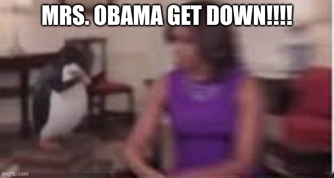 MRS OBAMA GET DOWN | MRS. OBAMA GET DOWN!!!! | image tagged in mrs obama get down | made w/ Imgflip meme maker