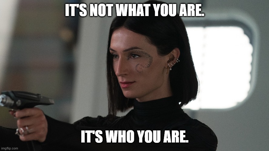 Wise Captain Angel on Identity | IT'S NOT WHAT YOU ARE. IT'S WHO YOU ARE. | image tagged in wise captain angel | made w/ Imgflip meme maker