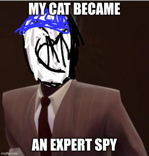Custom Spy Mask | MY CAT BECAME AN EXPERT SPY | image tagged in custom spy mask | made w/ Imgflip meme maker