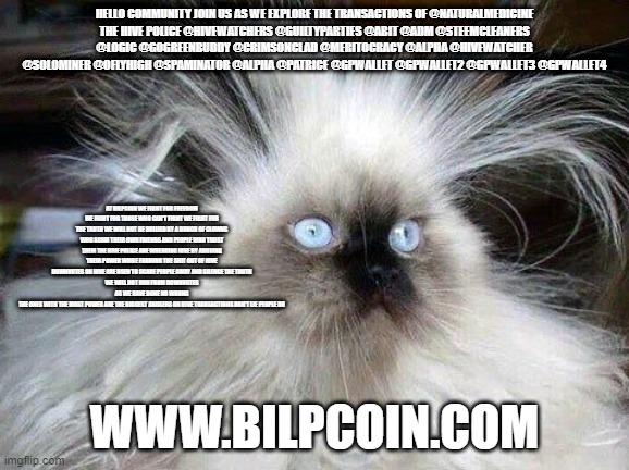 Crazy Hair Cat | HELLO COMMUNITY JOIN US AS WE EXPLORE THE TRANSACTIONS OF @NATURALMEDICINE
THE HIVE POLICE @HIVEWATCHERS @GUILTYPARTIES @ABIT @ADM @STEEMCLEANERS @LOGIC @GOGREENBUDDY @CRIMSONCLAD @MERITOCRACY @ALPHA @HIVEWATCHER @SOLOMINER @OFLYHIGH @SPAMINATOR @ALPHA @PATRICE @GPWALLET @GPWALLET2 @GPWALLET3 @GPWALLET4; AT BILPCOIN WE FIGHT FOR FREEDOM WE FIGHT FOR THOSE WHO CAN'T FIGHT WE FIGHT FOR THE TRUTH WE WILL NOT BE BULLIED BY A BUNCH OF CLOWNS WHO SCAM THEIR OWN FRIENDS AND PEOPLE WHO TRUST THEM THE HIVE POLICE ARE WREAKING HIVE BY ABUSING THEIR POWER WHILE FARMING THE SHIT OUT OF HIVE
DOWNVOTES ON HIVE ARE USED TO SCARE PEOPLE AWAY AND SILENCE THE TRUTH
WE WILL NOT RUN FROM DOWNVOTES AS WE HAVE DONE NO WRONG
THE ONES WITH THE MOST POWER ARE THE BIGGEST ABUSERS ON HIVE TRANSACTIONS DON'T LIE PEOPLE DO; WWW.BILPCOIN.COM | image tagged in crazy hair cat | made w/ Imgflip meme maker