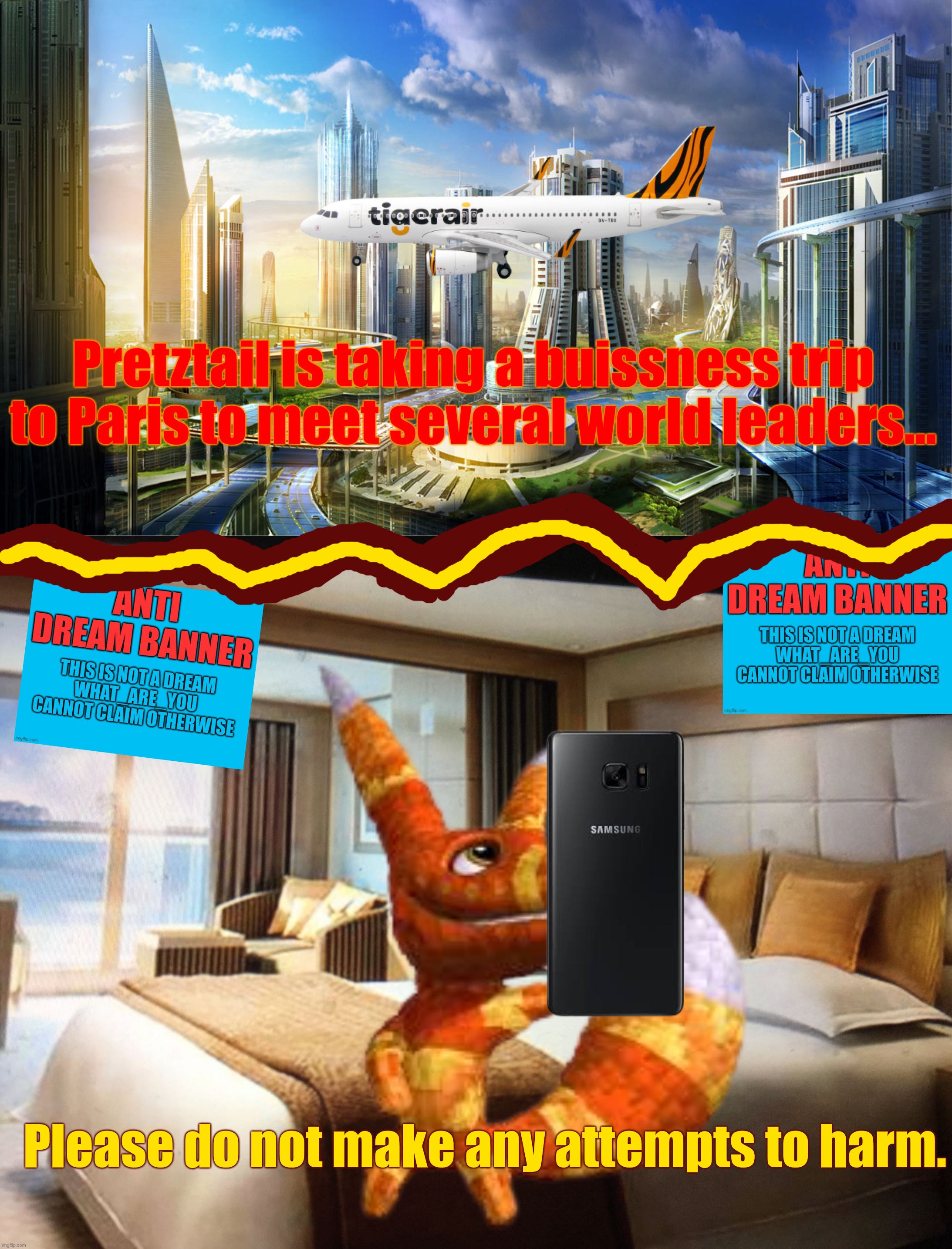Pretztail is abroad, and may not be harmed. | Pretztail is taking a buissness trip to Paris to meet several world leaders... Please do not make any attempts to harm. | image tagged in futuristic city,cruise ship bedroom | made w/ Imgflip meme maker