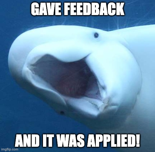 suprised beluga whale | GAVE FEEDBACK; AND IT WAS APPLIED! | image tagged in suprised beluga whale | made w/ Imgflip meme maker