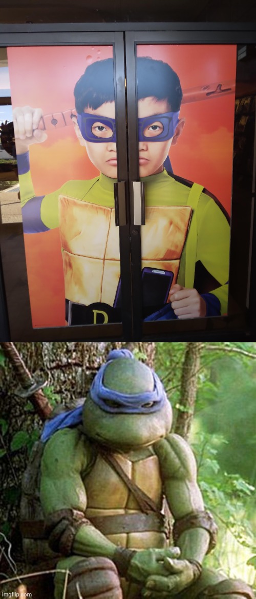 Teenage mutant ninja turtle | image tagged in sad ninja turtle,doors,you had one job,door,memes,teenage mutant ninja turtles | made w/ Imgflip meme maker